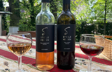 Weinprobe der steilen Helden an der Lichtung am Felsstirn Steillagen Ludwigsburg | © Michael Schatz