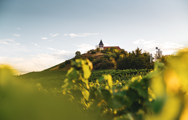 Michaelsberg Cleebronn | Heilbronn | © Touristikgemeinschaft HeilbronnerLand