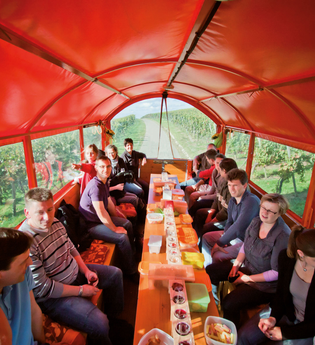 Katzenbeißer Carrus | Planwagen- und Weinbergrundfahrt | Lauffen am Neckar | © Katzenbeisser Carrus Planwagenfahrten GbR