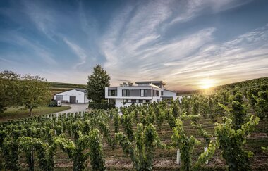 Blick auf die Weinberge und das Gebäude des Weinguts Eberbach-Schäfer bei Sonnenuntergang | © Privatweingut Eberbach-Schäfer