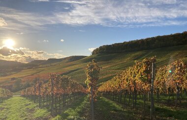 DIY Weinprobe im Wengerthäusle | © Nicole Betz