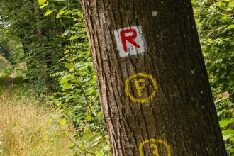 Eberbach wandert - Neckarsteig-Etappe 4 | © Stadt Eberbach / Andreas Held