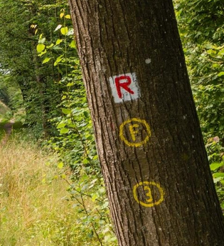 Eberbach wandert - Neckarsteig und „Eberbacher Pfad der Flussgeschichte“ | © Stadt Eberbach / Andreas Held
