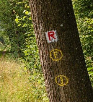 Eberbach wandert - Zwingenberg nach Eberbach | © Stadt Eberbach / Andreas Held