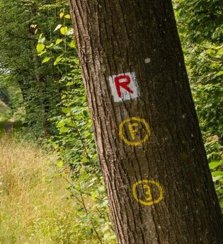 Eberbach wandert - Zwingenberg nach Eberbach | © Stadt Eberbach / Andreas Held