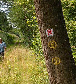 Eberbach wandert:  Mülben – Holzners Mühle - Eberbach | © Stadt Eberbach / Andreas Held