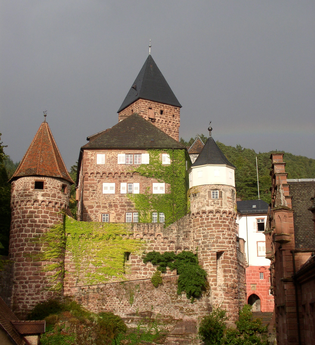 Eberbach wandert: Rundweg Lindach – Zwingenberg | © Stadt Eberbach