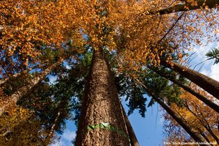 Eberbach wandert:  Tag des Wanderns | © Stadt Eberbach / Andreas Held