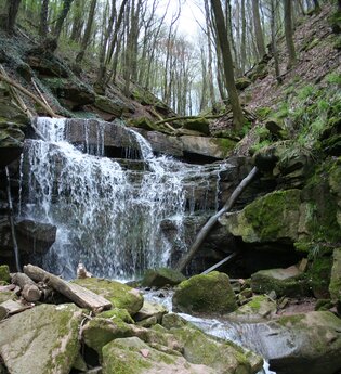 Eberbach wandert: Von Neckargerach nach Lindach über die Margareten- und Wolfsschlucht | © Stadt Eberbach