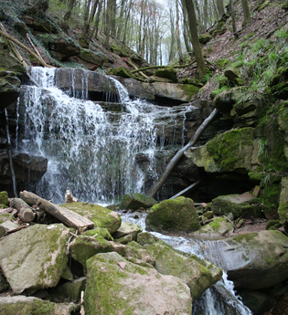 Eberbach wandert: Von Neckargerach nach Lindach über die Margareten- und Wolfsschlucht | © Stadt Eberbach