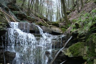 Eberbach wandert: Von Neckargerach nach Lindach über die Margareten- und Wolfsschlucht | © Stadt Eberbach