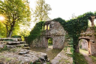Eberbach wandert: Von Zwingenberg nach Eberbach | © Stadt Eberbach / Andreas Held