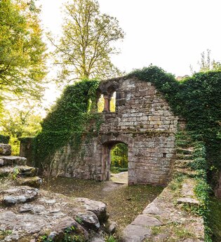 Eberbach wandert: Von Zwingenberg nach Eberbach | © Stadt Eberbach / Andreas Held