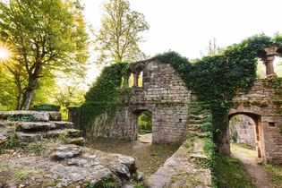 Eberbach wandert: Von Zwingenberg nach Eberbach | © Stadt Eberbach / Andreas Held