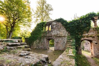 Eberbach wandert: Von Zwingenberg nach Eberbach | © Stadt Eberbach / Andreas Held