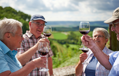 Weinerlebnisführung | Weinprobe in den Weinbergen | Weinsüden Weinort Brackenheim | © Neckar-Zaber-Tourismus e.V.
