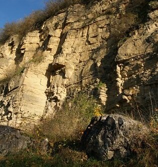 Eine Reise in die Erdgeschichte | © Stadt Bietigheim-Bissingen