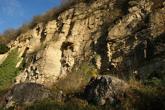 Eine Reise in die Erdgeschichte | © Stadt Bietigheim-Bissingen
