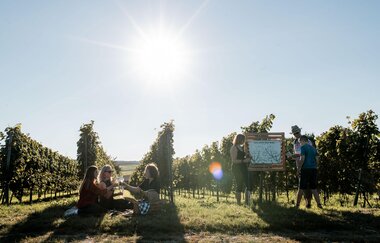 Landgut Steng | Entdeckertour | Bärbel Kraft | Weinprobe zwischen den Reben | © Neckar-Zaber-Tourismus e.V.
