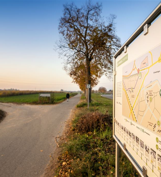 Entlang des Spargellehrpfads | © Stadt Schwetzingen