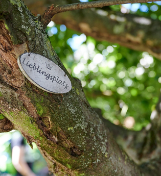 Pauschalangebote | Entspannter Süden | Lieblingsplatz | © Neckar-Zaber-Tourismus e.V.