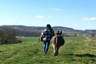 Erleben Sie die Welt der Esel mit Gästeführerin Birgit Lomnitzer | © Stadt Kraichtal
