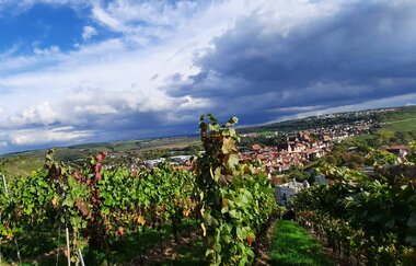 Erlebniswochenende Bietigheim-Bissingen und Besigheim - Flusserlebnis und Weingenuss im Enztal - Kanufahrt und Planwagenfahrt