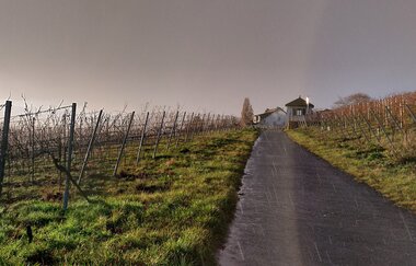 Landschaftsaufnahme mit Blick über einen asphaltierten Weinbergweg in die Ferne. Rechts und Links sind Weinreben zu sehen, in der Ferne ein Weinberhäusle. Aufnahme im Herbst ohne Laub an den Rebstöcken. | © DieWeinschmeckerin Nicole Halter