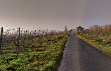 Landschaftsaufnahme mit Blick über einen asphaltierten Weinbergweg in die Ferne. Rechts und Links sind Weinreben zu sehen, in der Ferne ein Weinberhäusle. Aufnahme im Herbst ohne Laub an den Rebstöcken. | © DieWeinschmeckerin Nicole Halter
