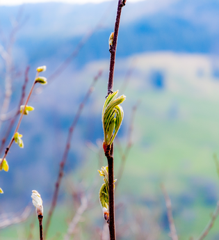 Foto-Wanderung für Frauen | © Jennifer Reisner Fotografie