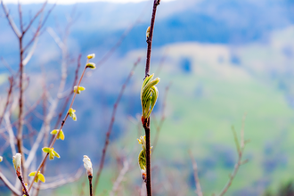 Foto-Wanderung für Frauen | © Jennifer Reisner Fotografie