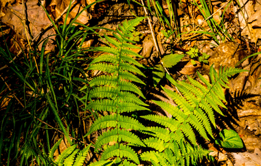 Foto-Wanderung für Frauen | © Jennifer Reisner Fotografie