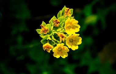 Foto-Wanderung für Frauen | © Jennifer Reisner Fotografie