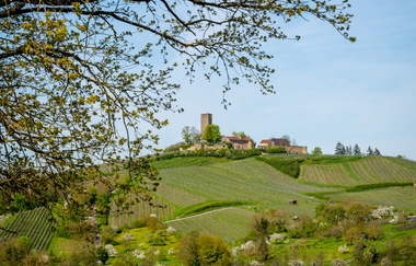 Foto-Wanderung für Frauen | © Jennifer ReisnerFotografie