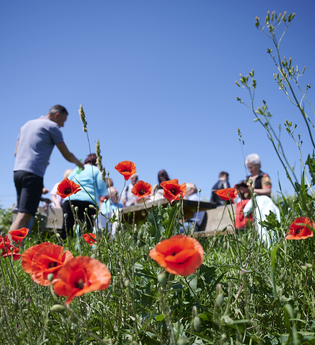 Frühlings-Er-Wachen | Lauffen am Neckar | Natur- und Weinführung | © Neckar-Zaber-Tourismus e.V.