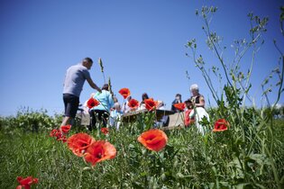 Frühlings-Er-Wachen | Lauffen am Neckar | Natur- und Weinführung | © Neckar-Zaber-Tourismus e.V.