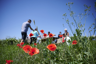 Frühlings-Er-Wachen | Lauffen am Neckar | Natur- und Weinführung | © Neckar-Zaber-Tourismus e.V.