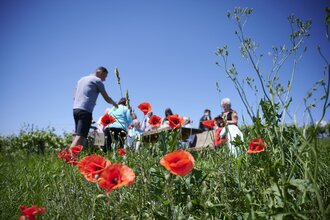 Frühlings-Er-Wachen | Lauffen am Neckar | Natur- und Weinführung | © Neckar-Zaber-Tourismus e.V.