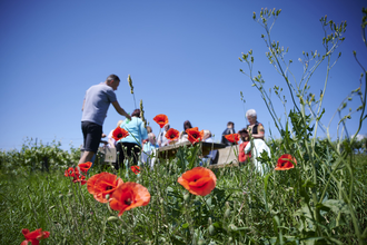 Frühlings-Er-Wachen | Lauffen am Neckar | Natur- und Weinführung | © Neckar-Zaber-Tourismus e.V.