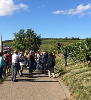 Frühlings-WeinWanderung 2026