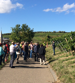 Frühlings-WeinWanderung 2026