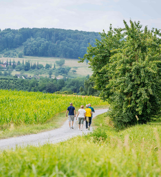 Führung auf den Destillatwegen | © Hohenloher Perlen