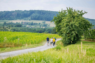 Führung auf den Destillatwegen | © Hohenloher Perlen
