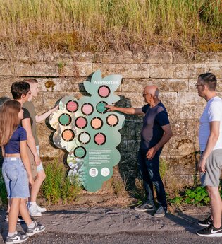Führung an den Wein Wegen | © Hohenloher Perlen