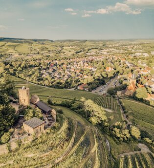 Führung auf der Burgruine Weibertreu Weinsberg | © Tourismus im Weinsberger Tal e.V.