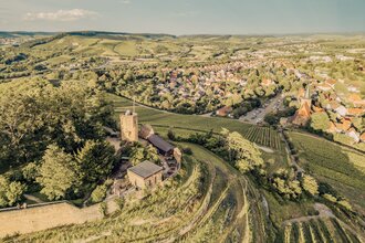 Führung auf der Burgruine Weibertreu Weinsberg | © Tourismus im Weinsberger Tal e.V.