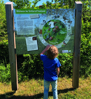 Führung durch den Bönnigheimer Obstsortengarten | © Hildegard Freibichler