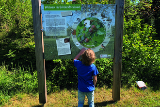 Führung durch den Bönnigheimer Obstsortengarten | © Hildegard Freibichler