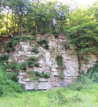 Führung: Route der Sandsteinbrüche | © Stadt Eberbach