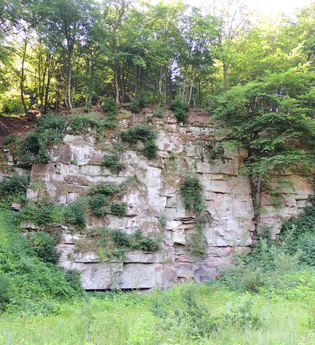 Führung: Route der Sandsteinbrüche | © Stadt Eberbach